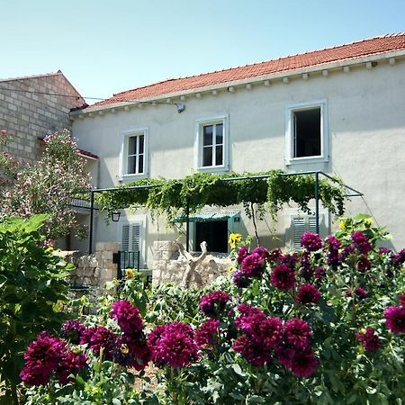 Guest House Katica Zaton  Exterior photo