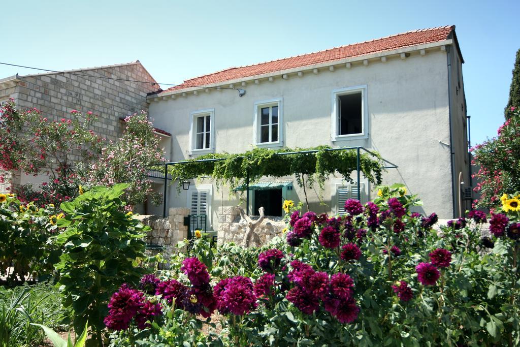 Guest House Katica Zaton  Exterior photo